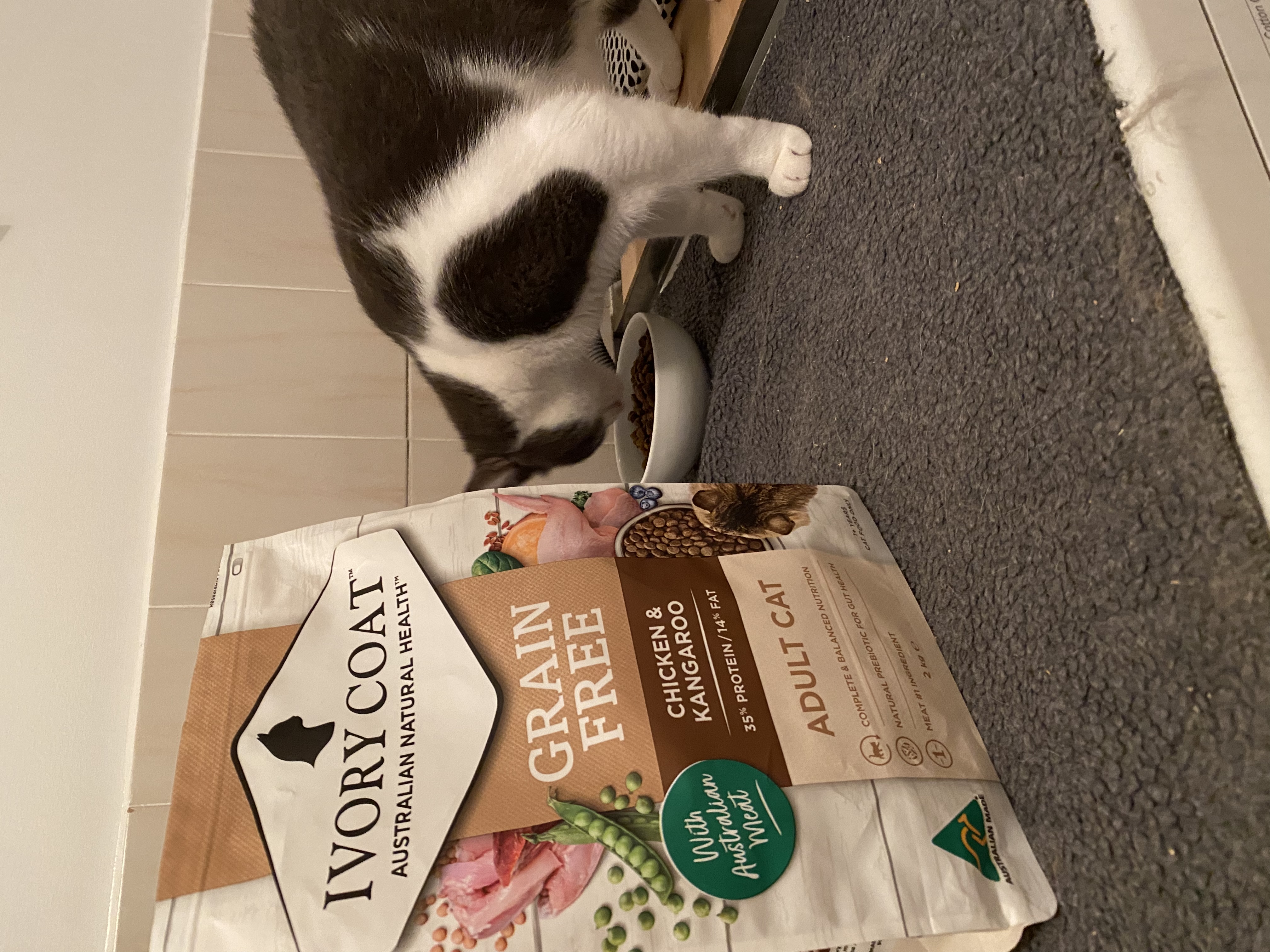 Ivory Coat Grain Free Chicken Kangaroo Indoor Adult Dry Cat Food