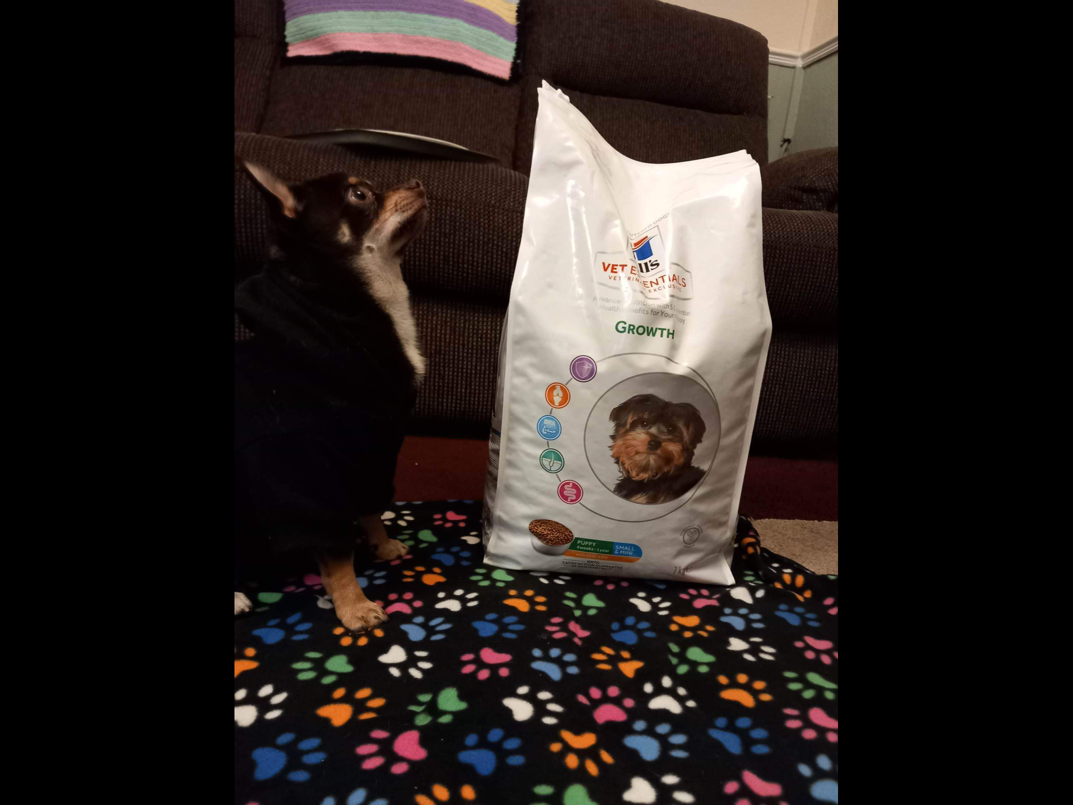 Hill's VET ESSENTIALS GROWTH Large Breed Puppy Food with Chicken