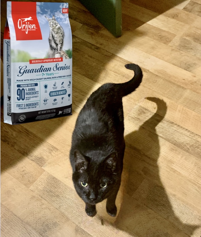 cat wet food calories Tiki Cat Grill Wet Cat Food